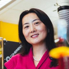 Portrait of Prof. Yang Shao-Horn